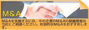 M&A